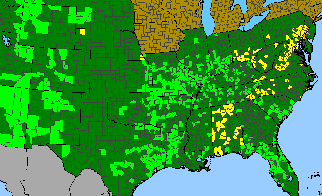 The range of Corallorhiza wisteriana